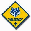 Cub Scouts